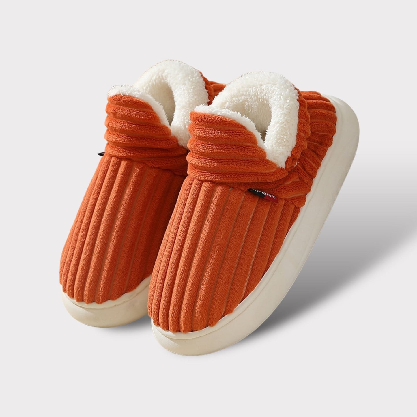 Winter Slippers